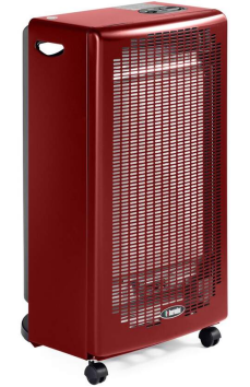 Daisy on the Ohoopee