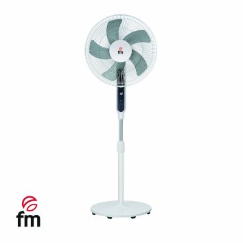 Daisy on the Ohoopee