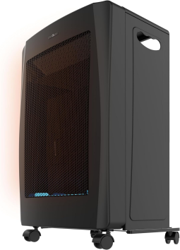 Daisy on the Ohoopee